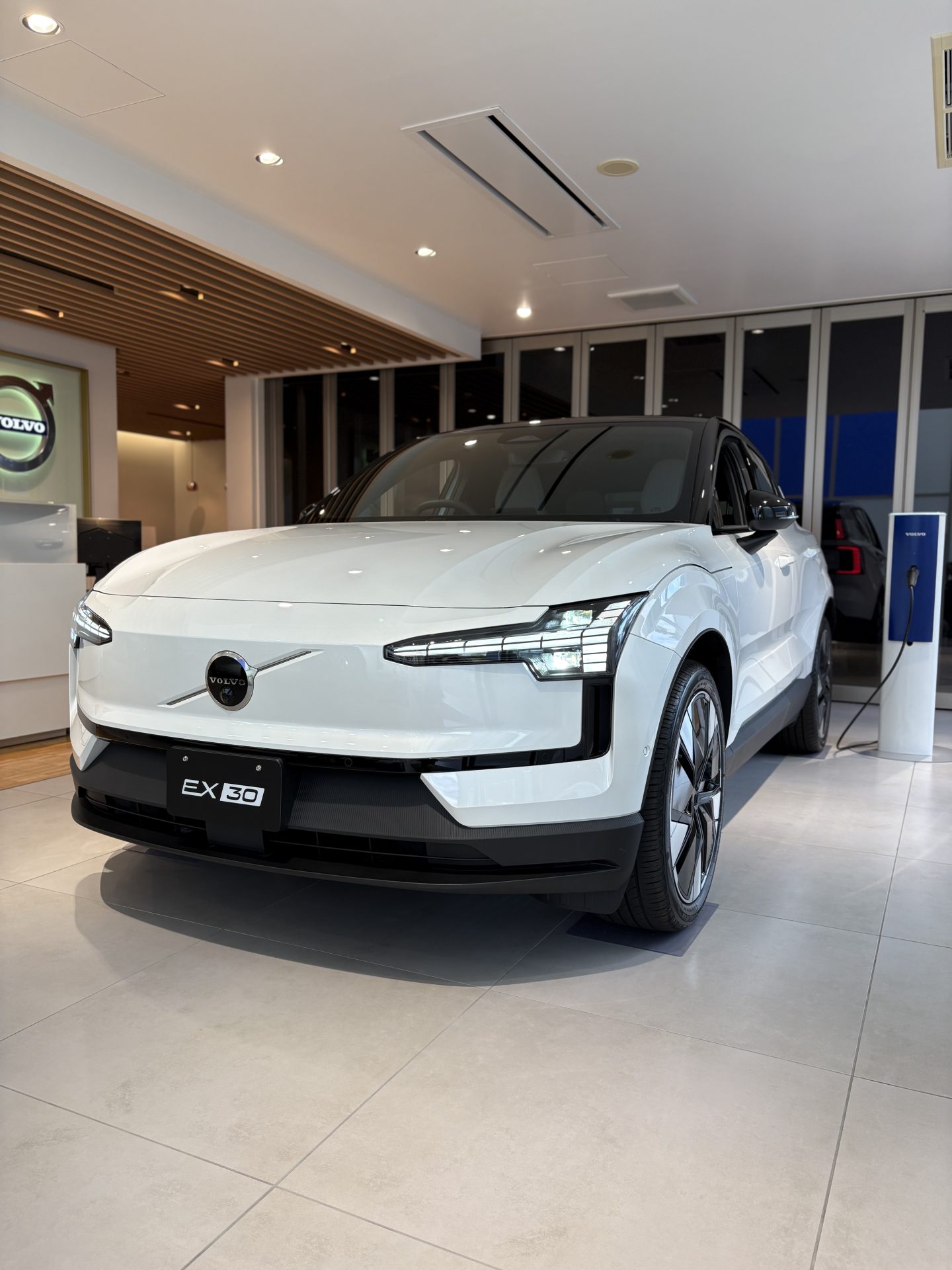 30代OL様10点価格 中忠 今治産金魚タオル バス・フェイスタオルセット ｜ 産直お